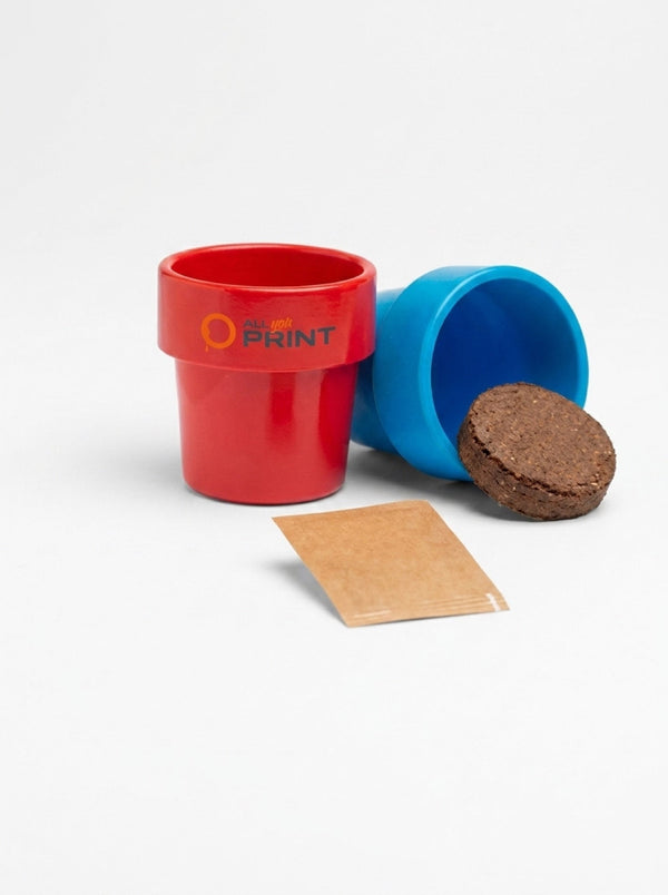 Plant seeds in coffee cups