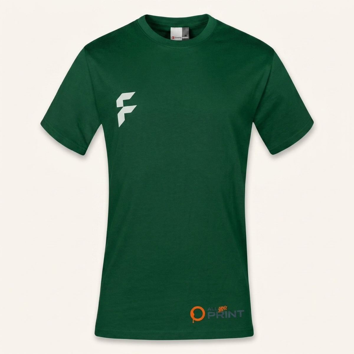 AYP - Regular Fit T-Shirts Herren
