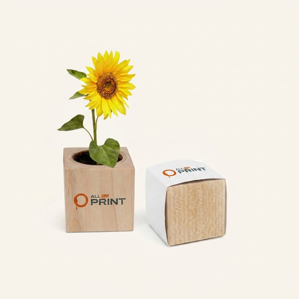 Sample plant seeds in wooden pots