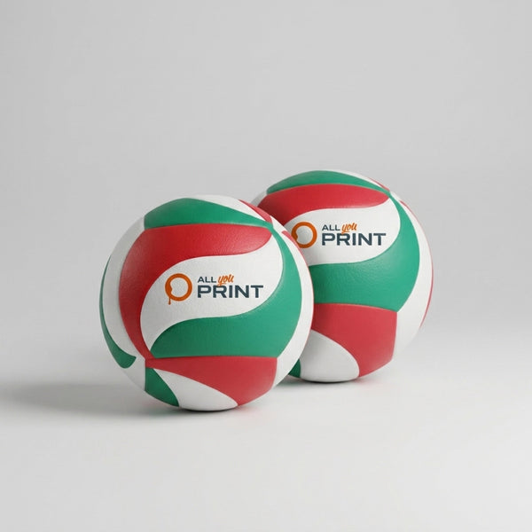Molten Volleybälle