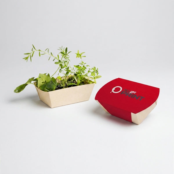 Planting bowls with seeds