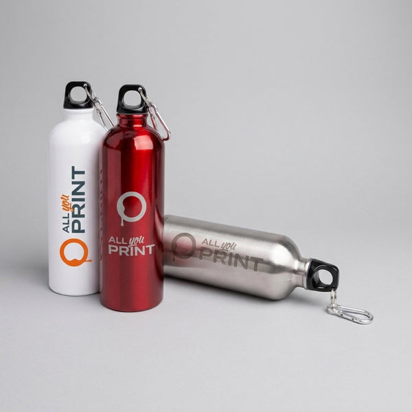 Stainless steel bottles with carabiner