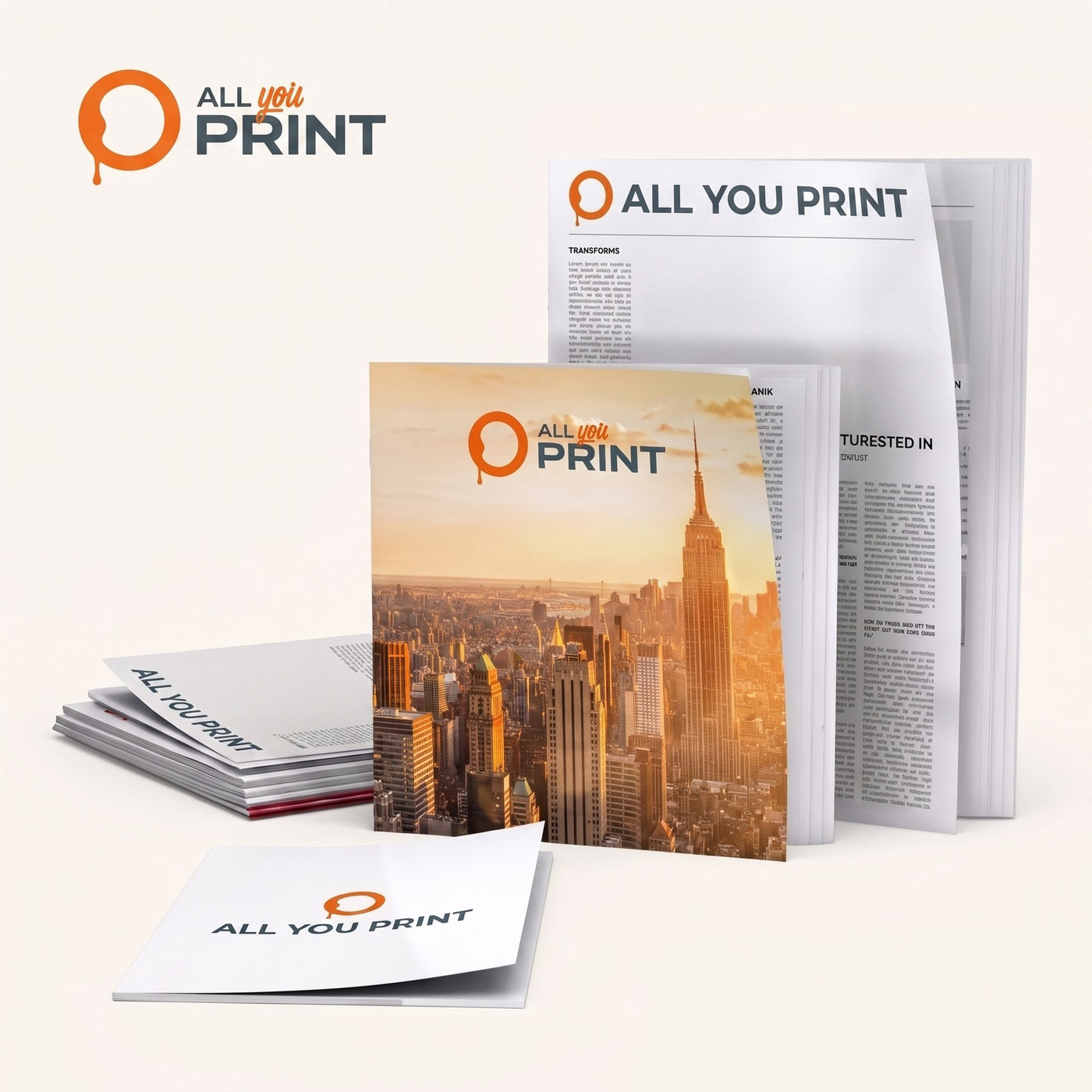Brochure Budget (impression offset)