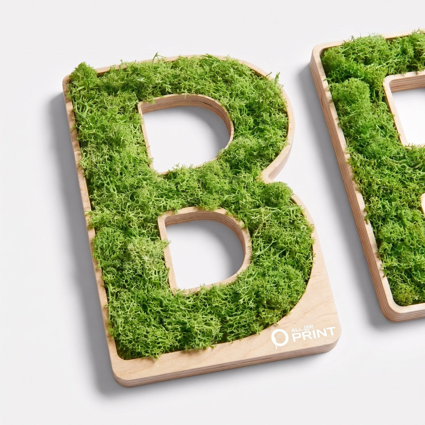 Lettres individuelles en mousse